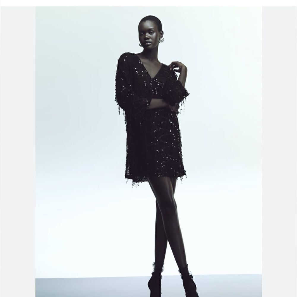 NWT Zara‎ Sequins Fringe Mini Dress Sz XS